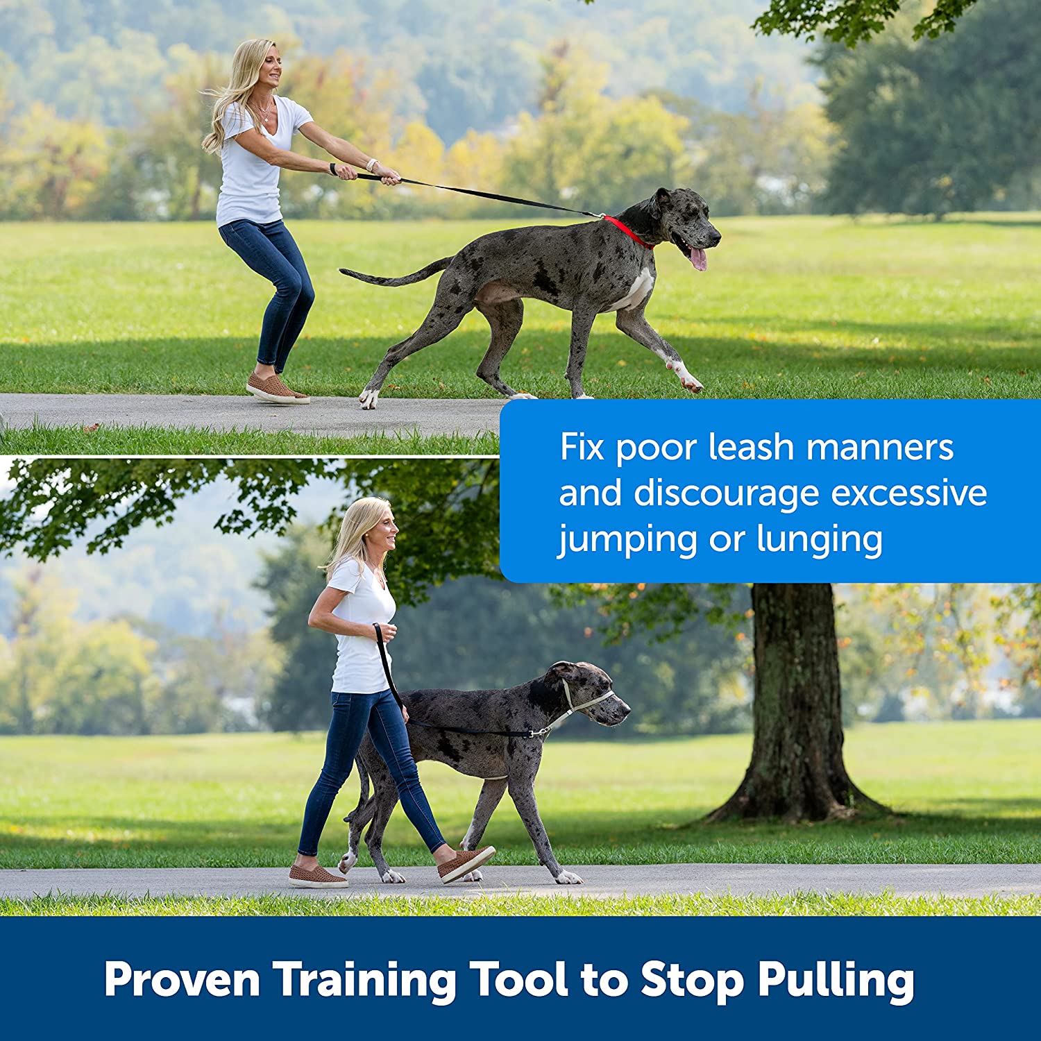 Dog Headcollar