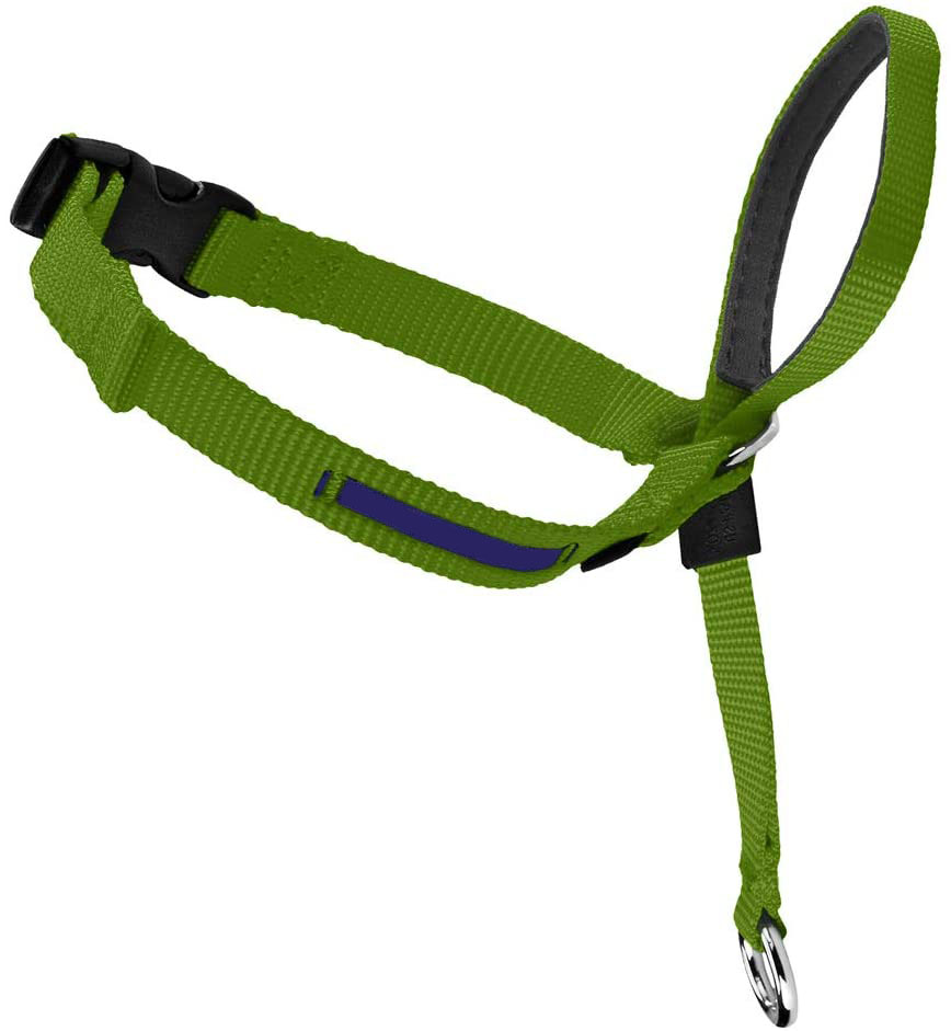 Dog Headcollar