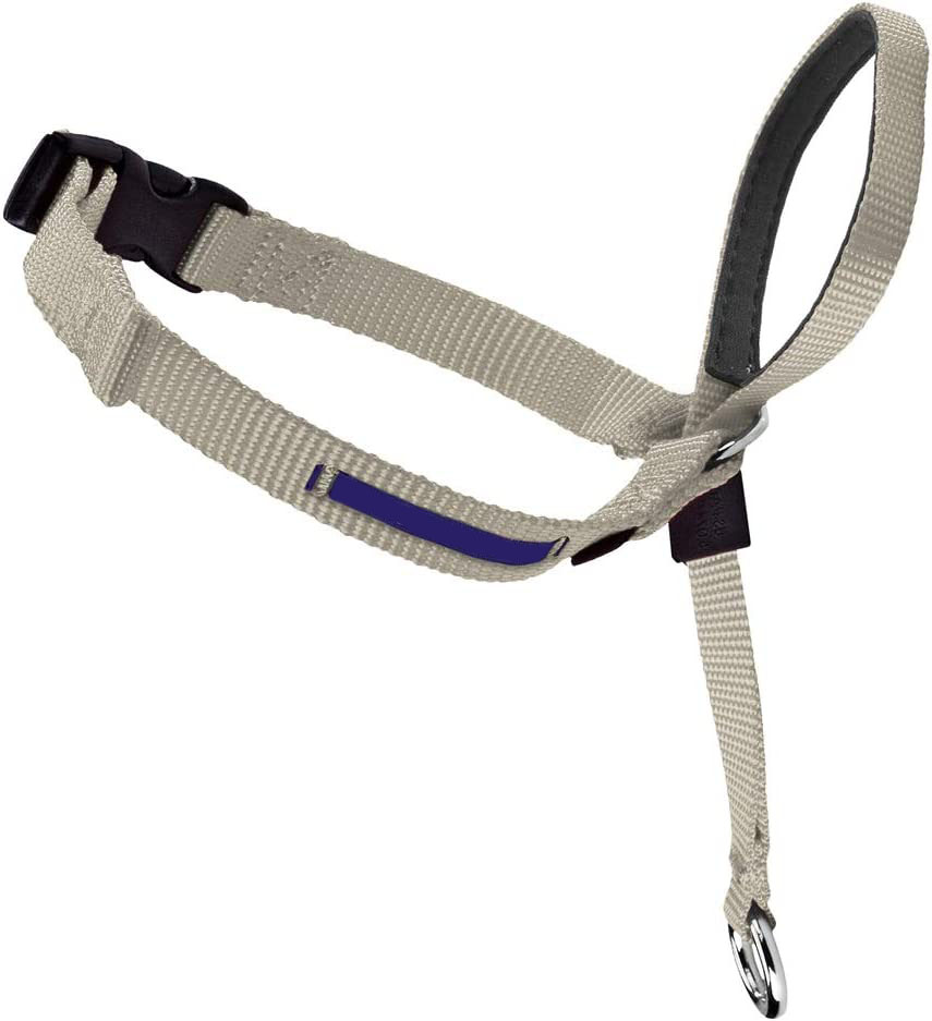 Dog Headcollar