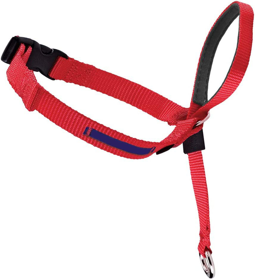 Dog Headcollar