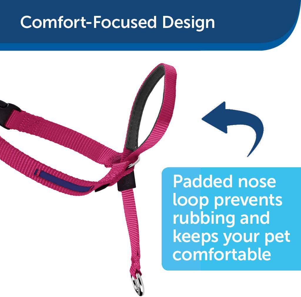 Dog Headcollar