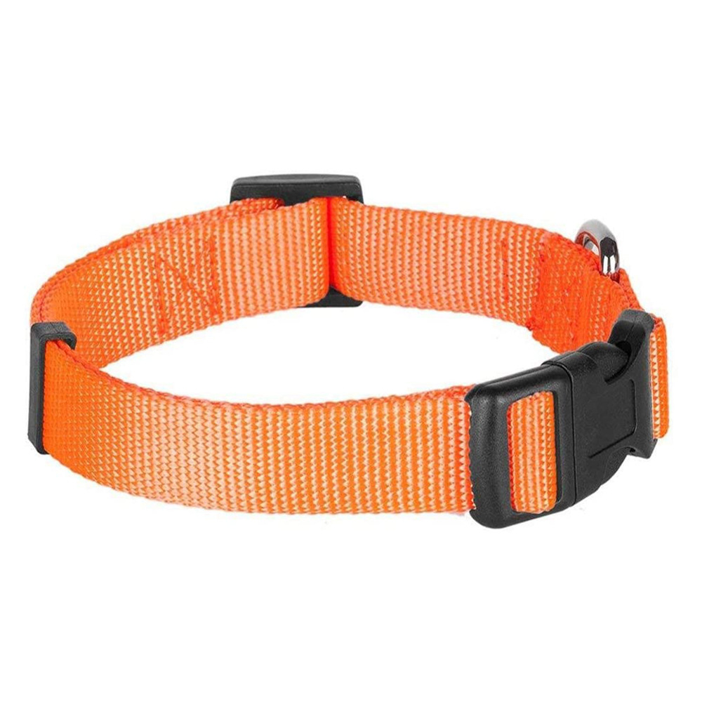 Classic Adjustable Solid Nylon Dog Pet C