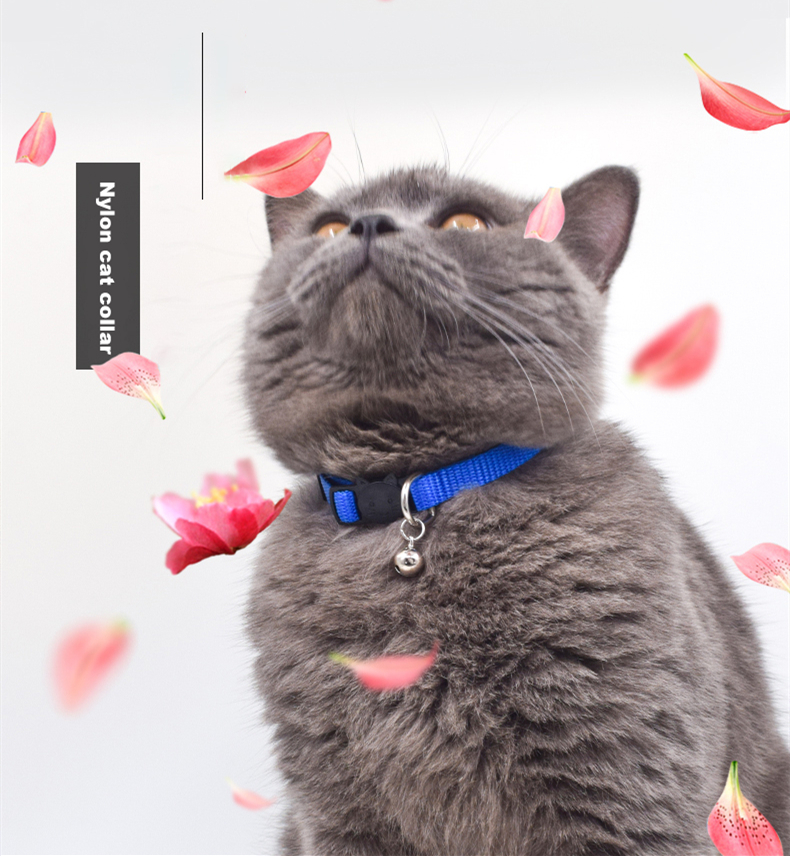 Solid Nylon Cat Collar With Bell