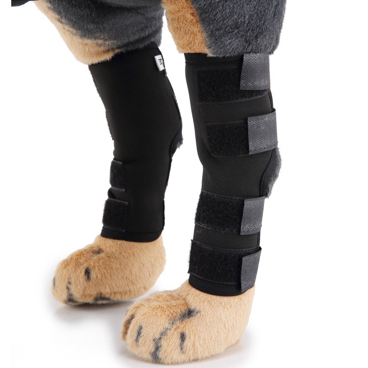 Dog Knee Pads