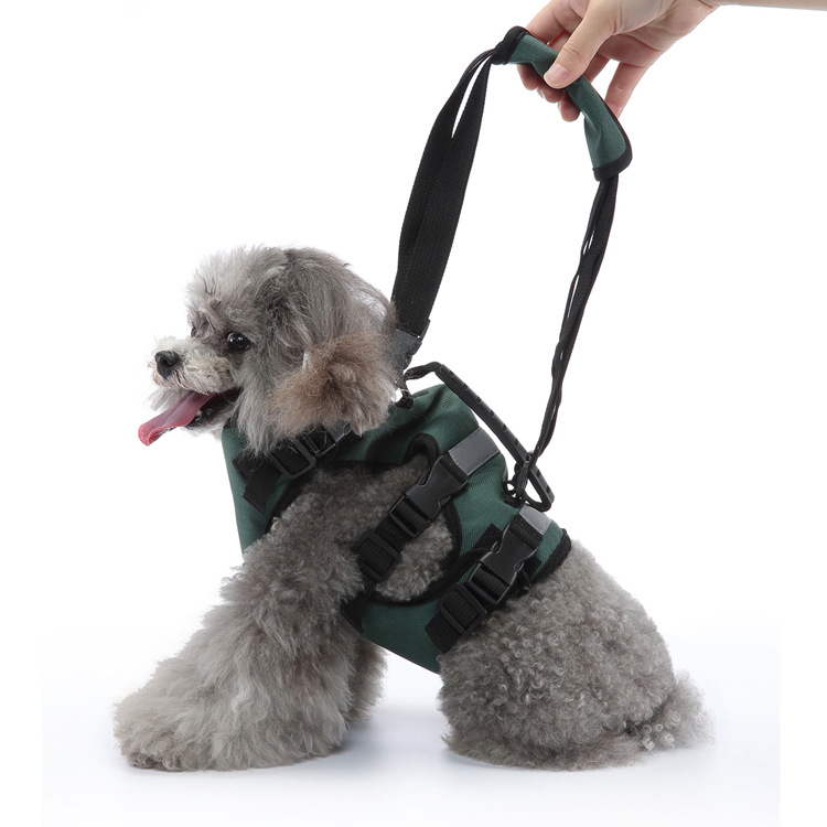 Pet Walking Assistant Belt