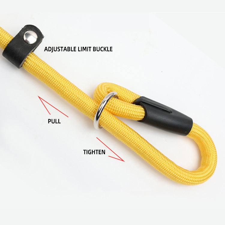 Nylon Dog Leash