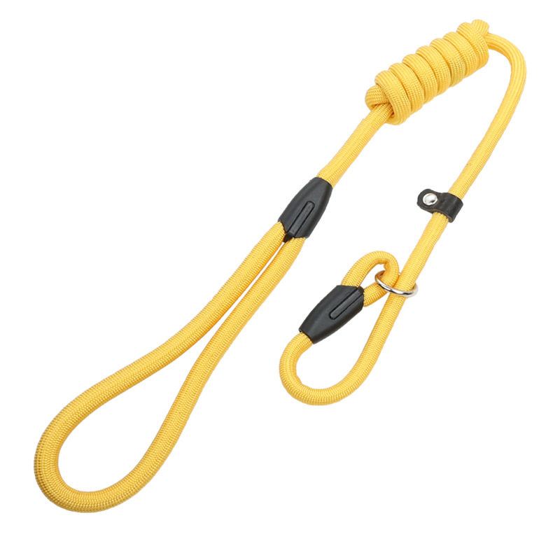 Nylon Dog Leash