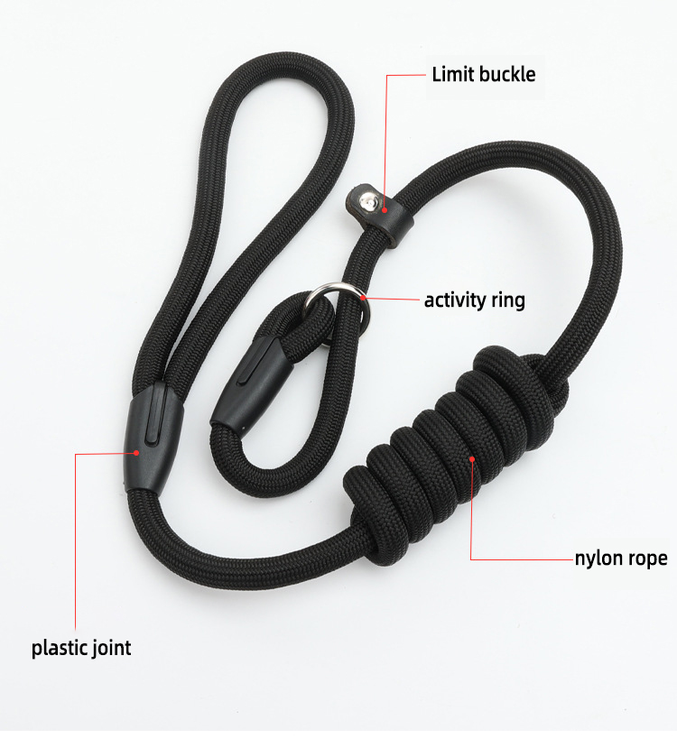 Nylon Dog Leash