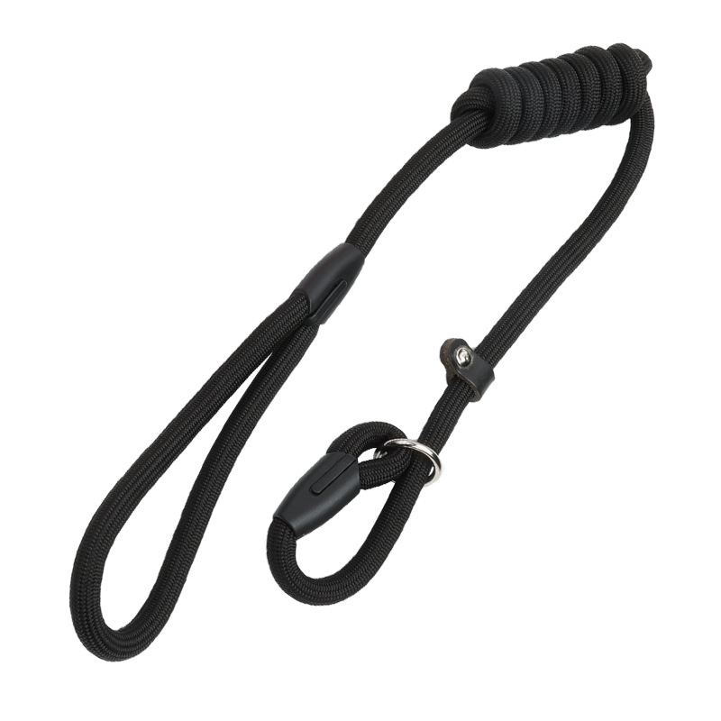 Nylon Dog Leash
