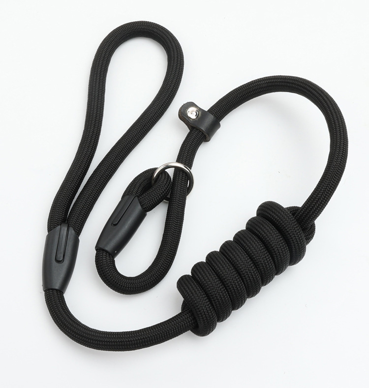 Nylon Dog Leash