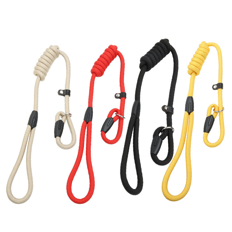 Nylon Dog Leash