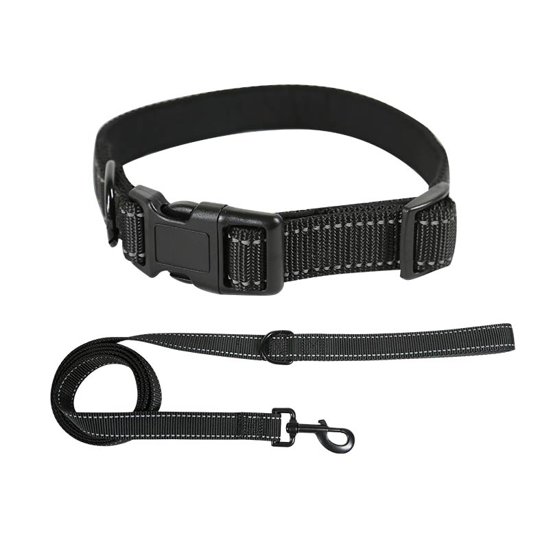 Reflective Nylon Dog Collar Leash Set