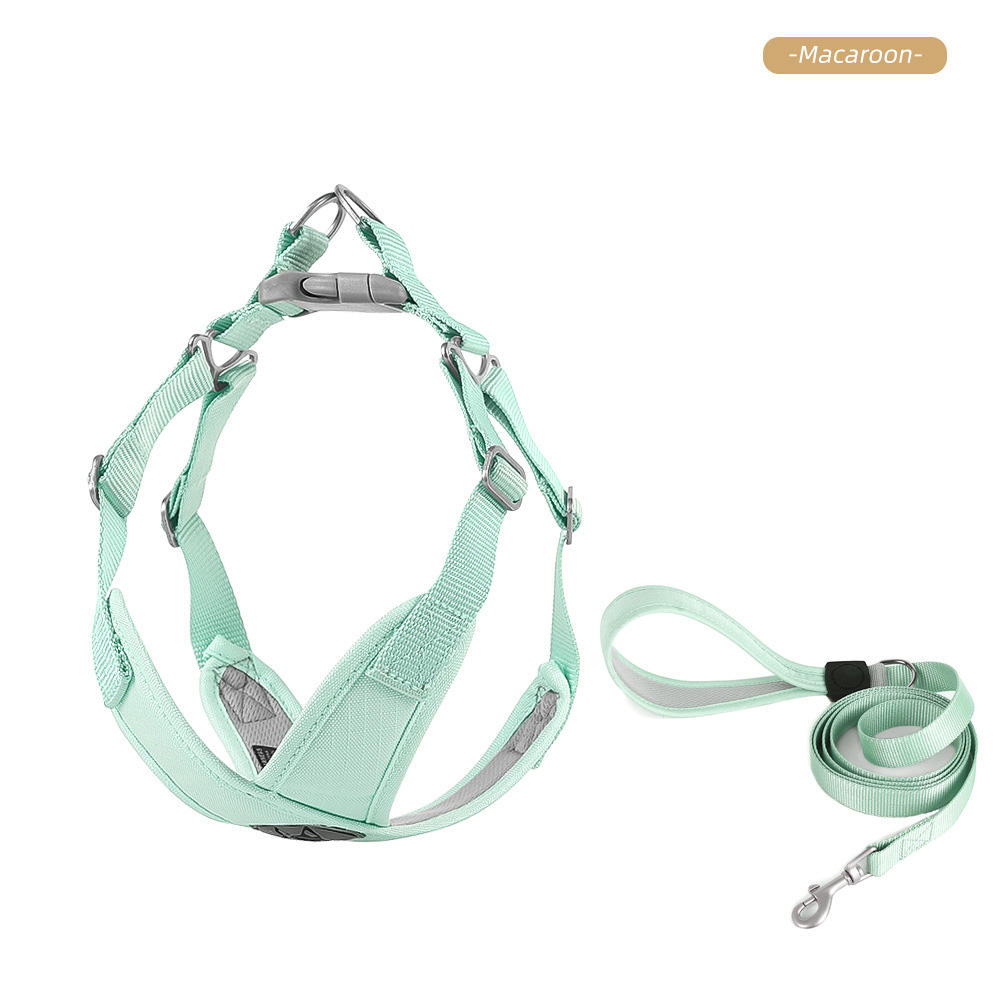 Dog Harnesses Leash Set