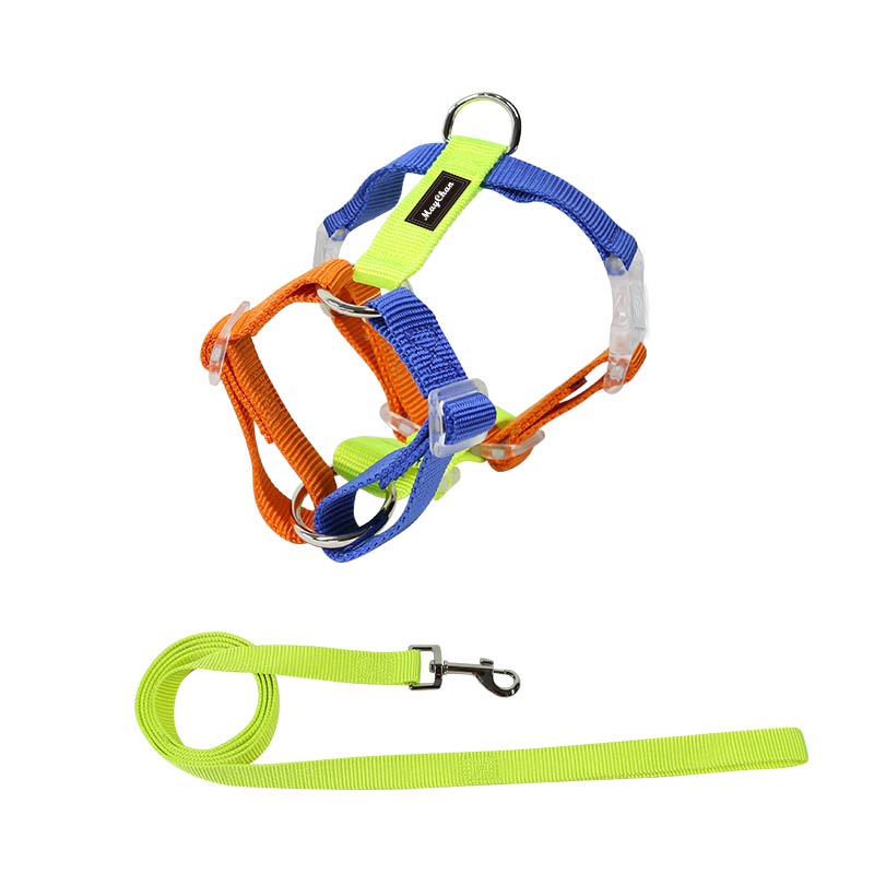 Contrast Color Pet Harness Leash Set