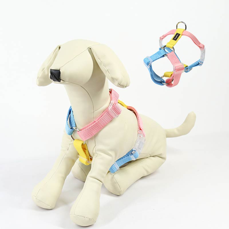 Contrast Color Pet Harness Leash Set