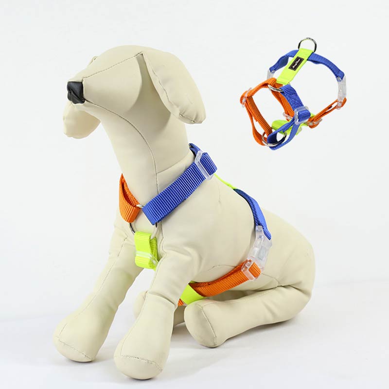 Contrast Color Pet Harness Leash Set