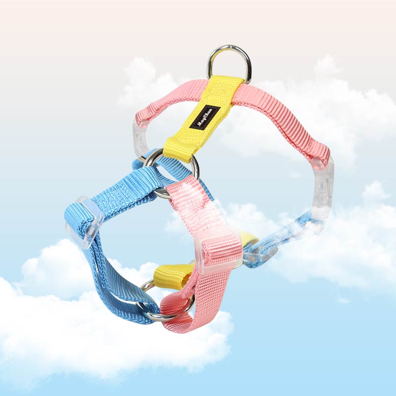 Contrast Color Pet Harness Leash Set