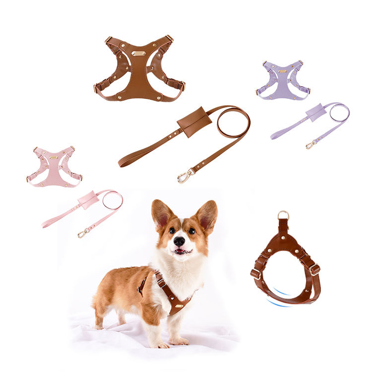 Leather Dog Harness