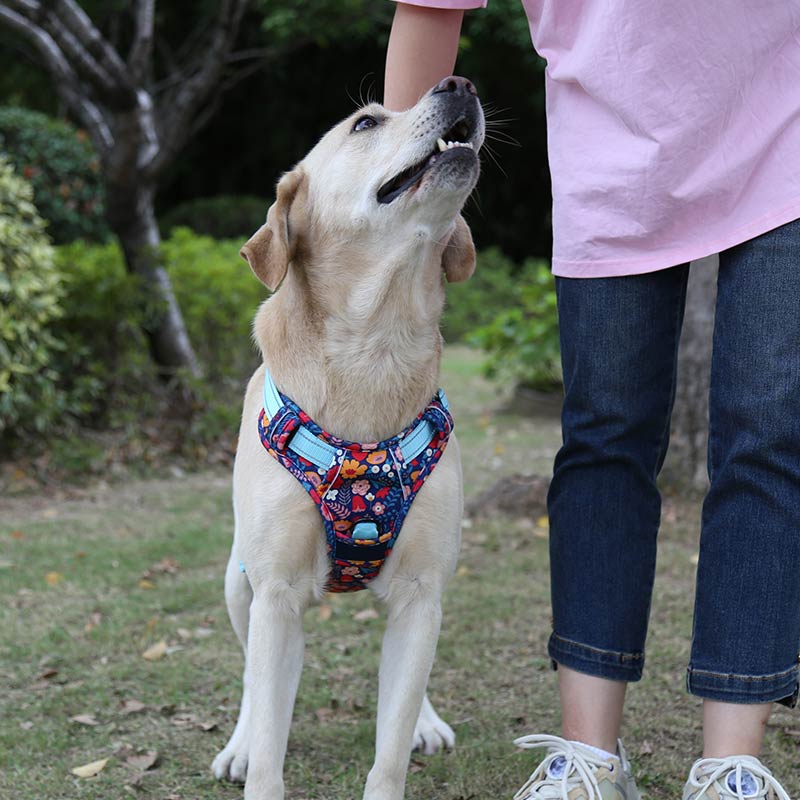 No Pull Adjustable Colorful Dog Harness 