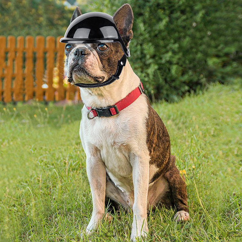 Pet Helmets