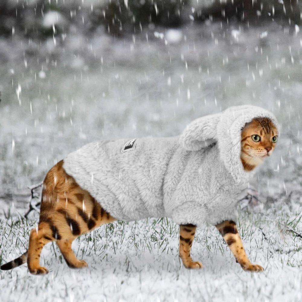 Dog Cat Winter Hoodie