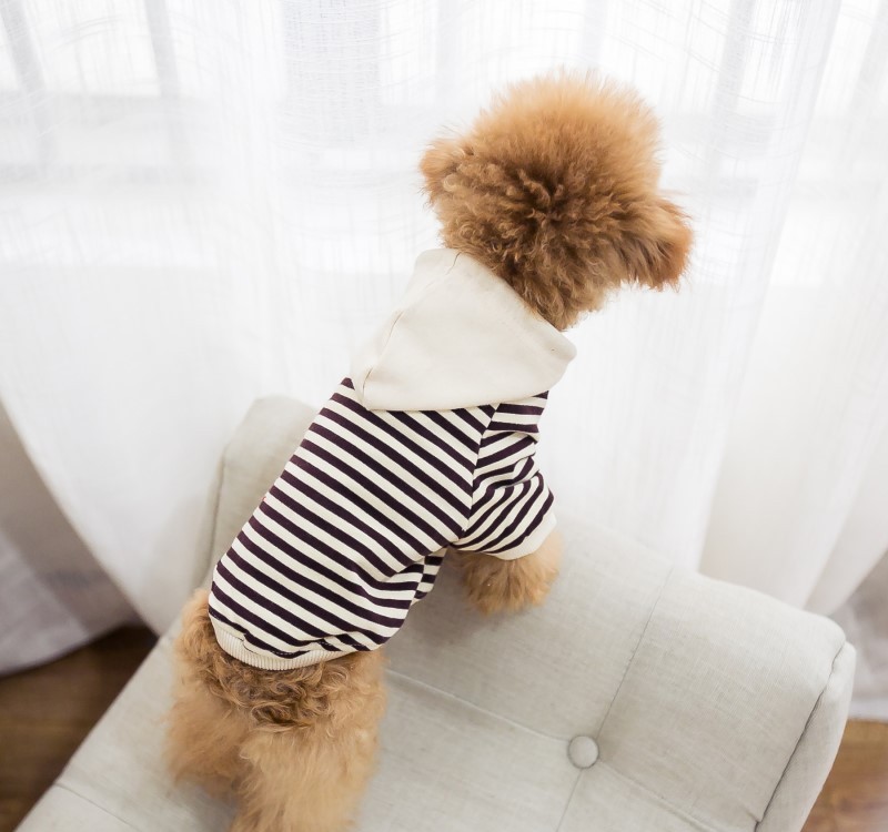 Spring/Autumn Pet Sweater Shirt Clothes