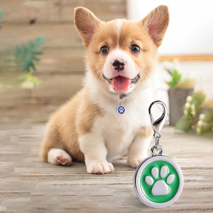 Paw Pattern Pet ID Tags