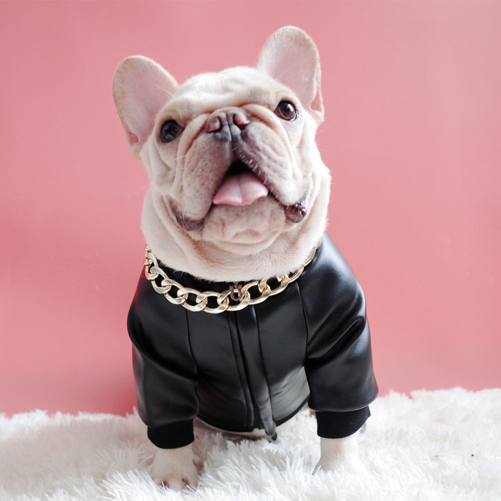 Leather Pet Clothes