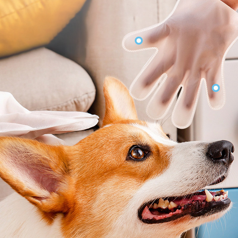Disposable Non Woven Pet Cleaning Gloves