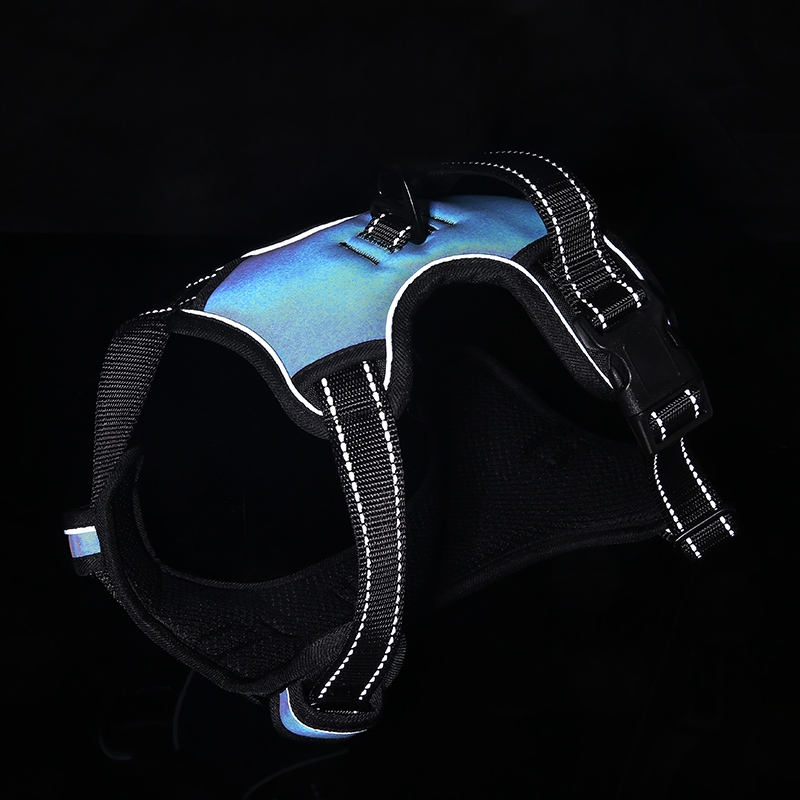 Luminous Pet Harness