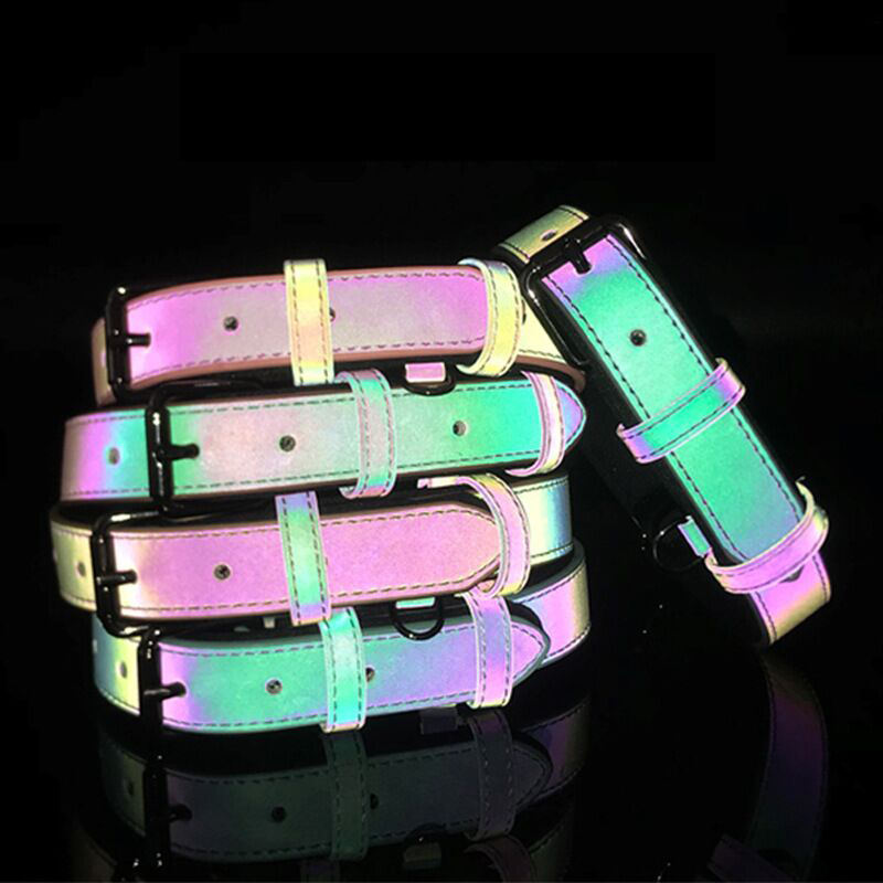 Luminous Pet Collar Leash Set