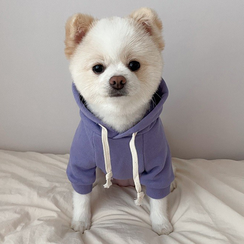 Pet Hoodie