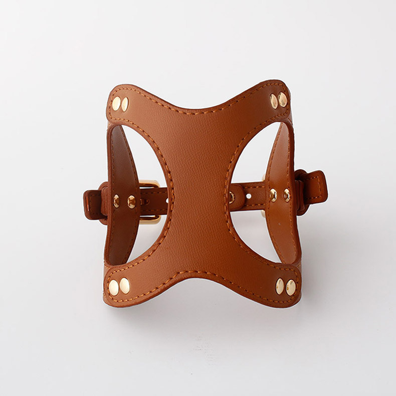 Leather Pet Dog Harness and Leash Set