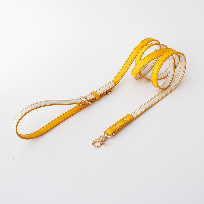 Leather Pet Dog Harness and Leash Set