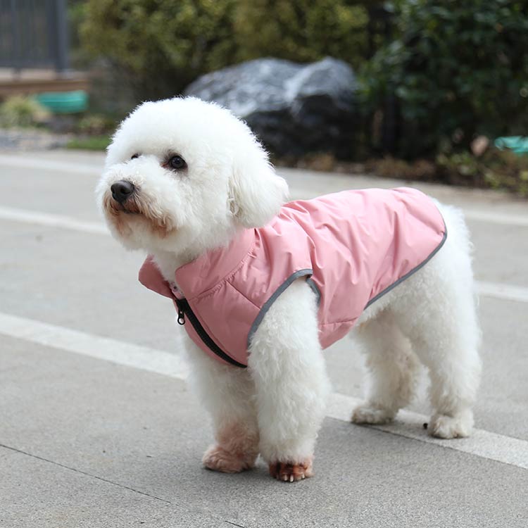 Winter Dog Jacket