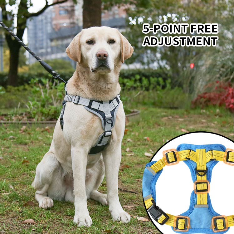 No Pull Dog Harness with Shock Absorption Strap