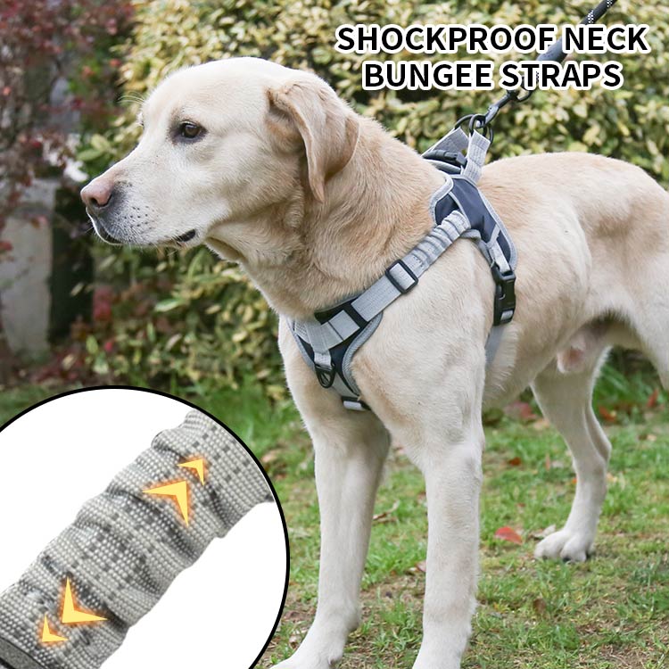 No Pull Dog Harness with Shock Absorption Strap