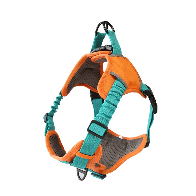 No Pull Dog Harness with Shock Absorption Strap