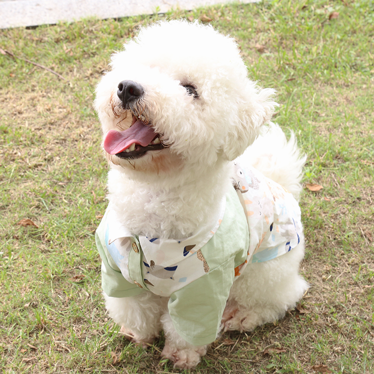 OEM Design Printing Dog Shirt