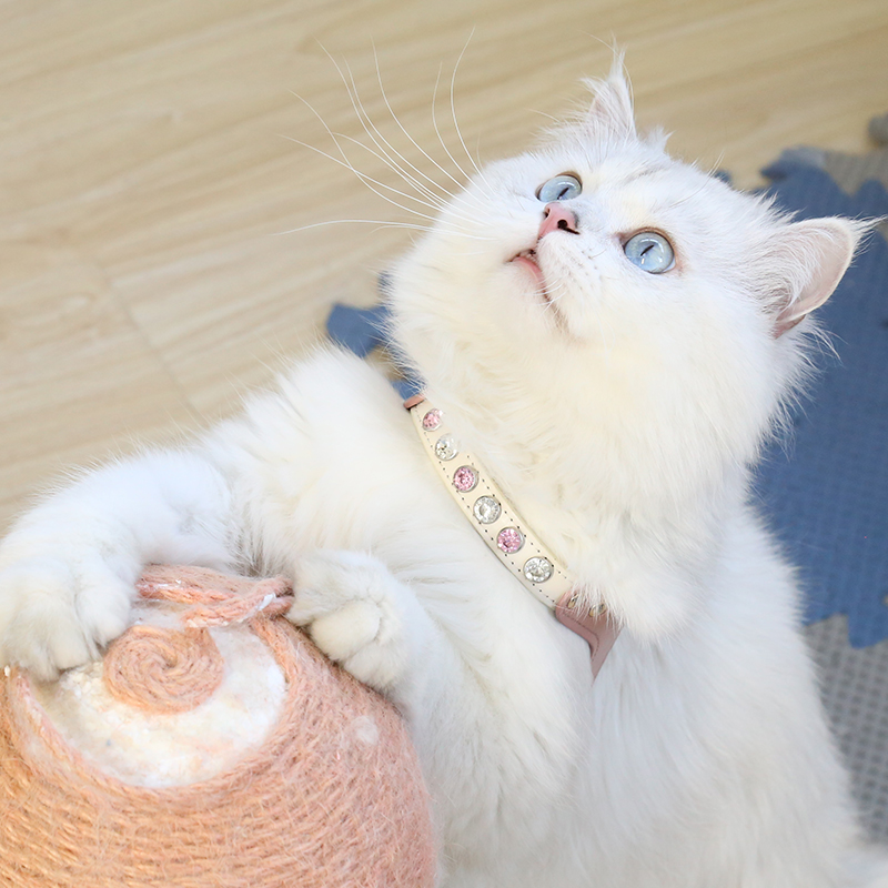 Escape-proof PU Leather Cat Harness Leash Set