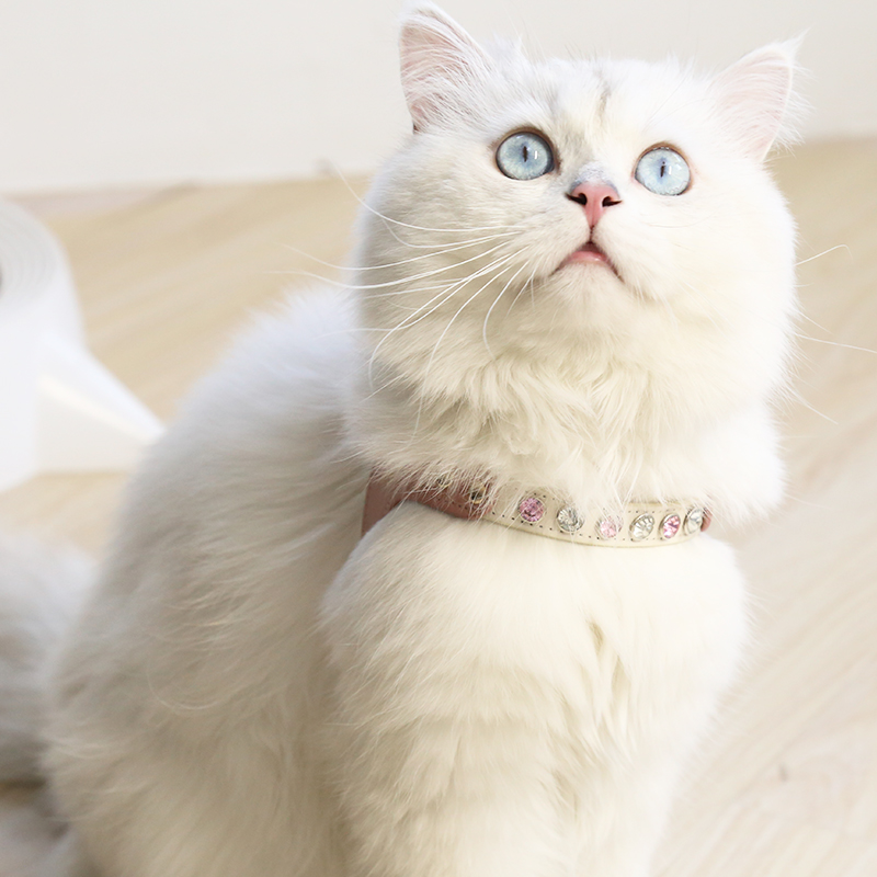 Escape-proof PU Leather Cat Harness Leash Set