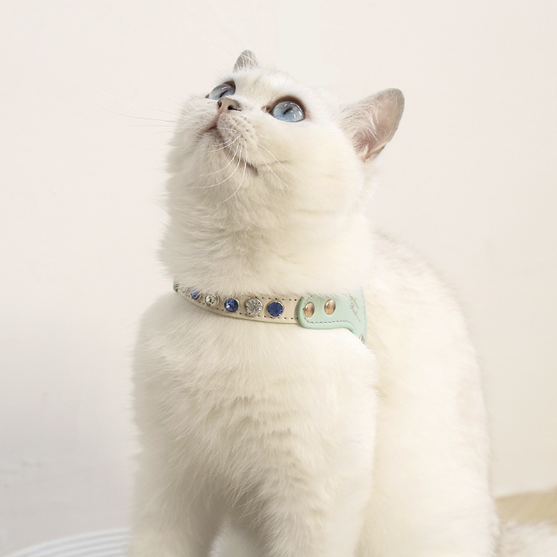 Escape-proof PU Leather Cat Harness Leash Set