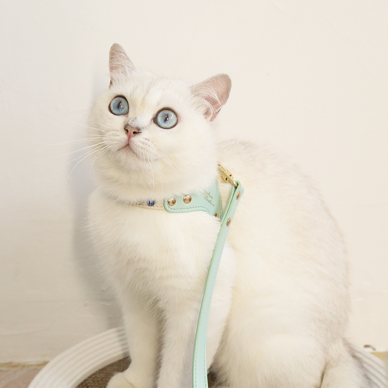Escape-proof PU Leather Cat Harness Leash Set