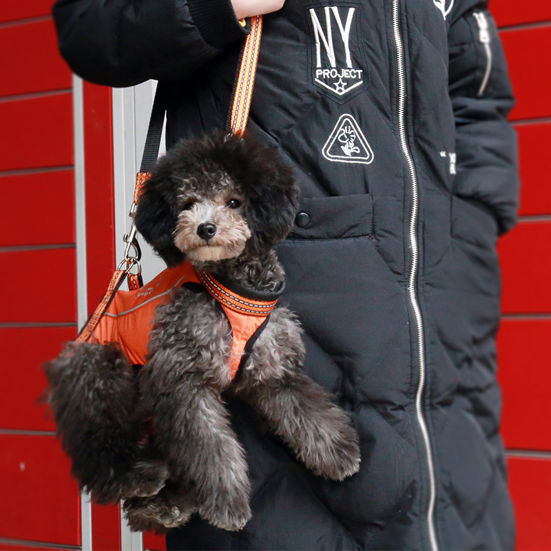 Pet Carrier Lifter Dog Harness Leash Set
