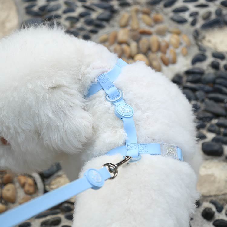 PVC Waterproof Dog Leash&Harness&