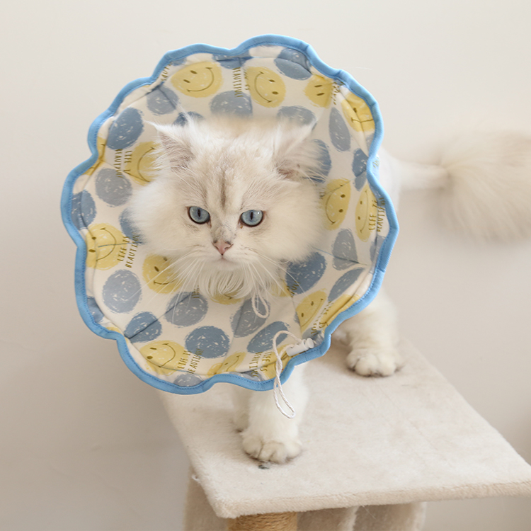 Cartoon Print Pet Recovery Elizabethan C