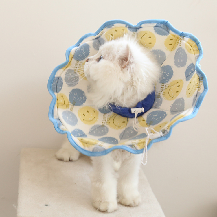Cartoon Print Pet Recovery Elizabethan Collar