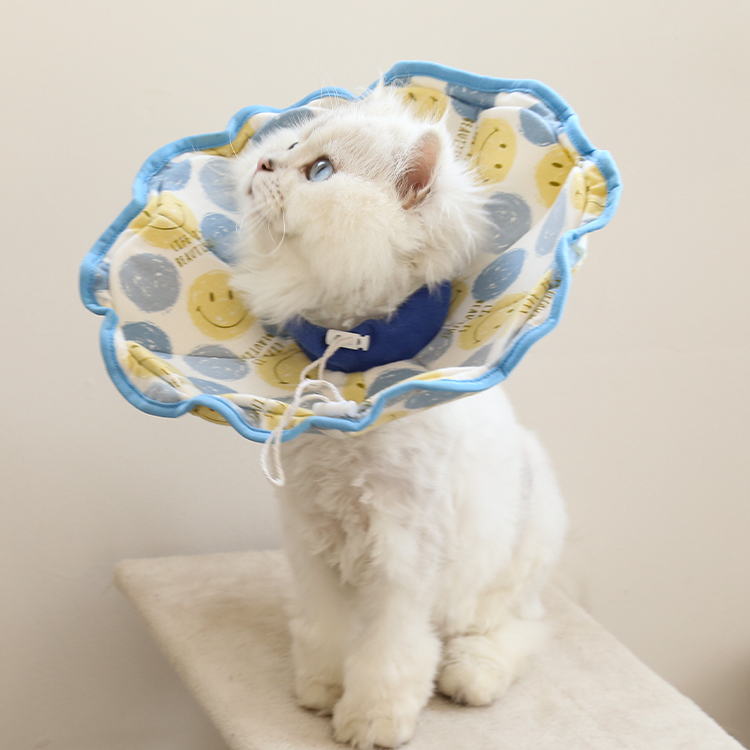 Cartoon Print Pet Recovery Elizabethan Collar
