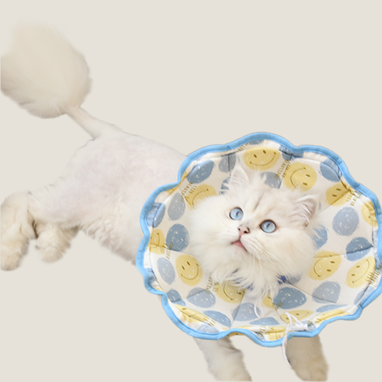 Cartoon Print Pet Recovery Elizabethan Collar