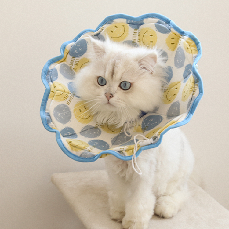Cartoon Print Pet Recovery Elizabethan Collar